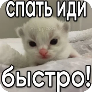 Sticker from Вау мяу