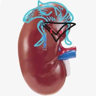 🤯 emoji ЭВОЛЮЦИЯ ДОТТОРЕ Telegram sticker 7 of 41