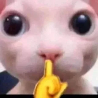 🤭 emoji shitpost status 🟢 (active) Telegram sticker 6 of 120