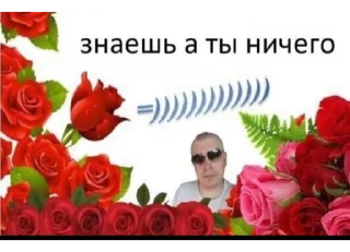 🙅 emoji ёбаный рот этого казино Telegram sticker 21 of 97