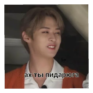 😄 emoji Skz Telegram sticker 14 of 35