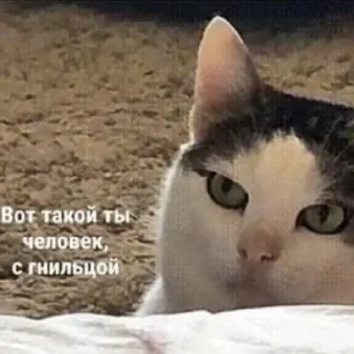 😠 emoji ;-; | via @StickedApp_bot Telegram sticker 7 of 20