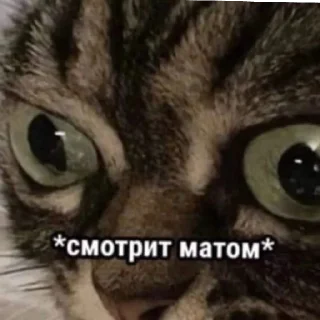 👀 emoji ;-; | via @StickedApp_bot Telegram sticker 14 of 20