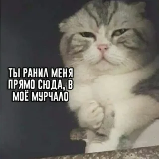 😭 emoji ;-; | via @StickedApp_bot Telegram sticker 9 of 20