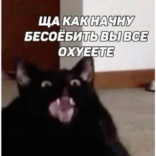 🤪 emoji ;-; | via @StickedApp_bot Telegram sticker 20 of 20