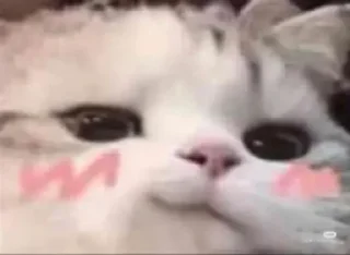 🤪 emoji стики от пинки Telegram sticker 10 of 65
