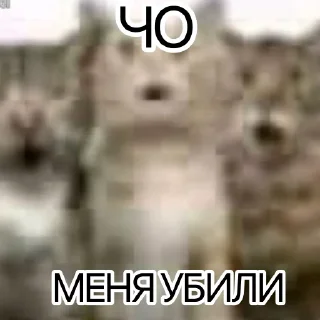 Sticker from поступашки