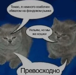 🌟 emoji социальная смерть Telegram sticker 19 of 37