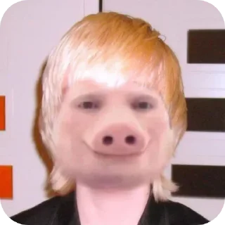 🐷 emoji Йост Telegram sticker 21 of 22