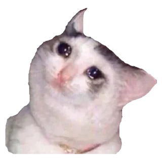 💟 emoji Дана Telegram sticker 17 of 30