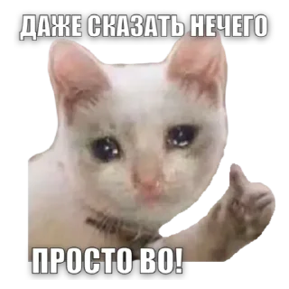 💟 emoji Дана Telegram sticker 9 of 30