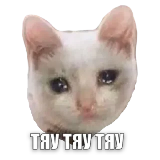 💟 emoji Дана Telegram sticker 11 of 30
