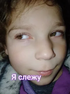 😻 emoji Я топ а ви нет Telegram sticker 17 of 98