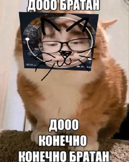😻 emoji Жиробасик хед (от пепельника) Telegram sticker 14 of 120