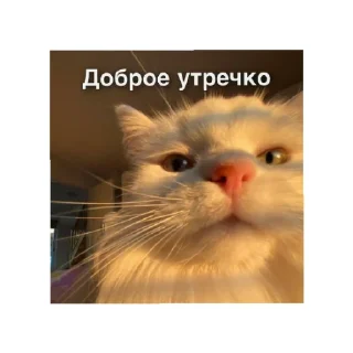 😄 emoji День/ ночь Telegram sticker 3 of 15