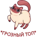 😠 emoji Котик Веня от @TgSticker Telegram sticker 1 of 49