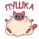 😍 emoji Котик Веня от @TgSticker Telegram sticker 20 of 49