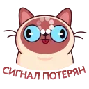 🫥 emoji Котик Веня от @TgSticker Telegram sticker 18 of 49