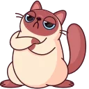 😐 emoji Котик Веня от @TgSticker Telegram sticker 23 of 49