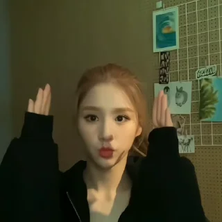 🦩 emoji HEEJIN - @DEJST Telegram sticker 14 of 35