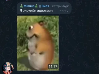 Sticker from Будни во флуд