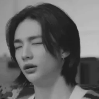 🐾 emoji hyunjin @ARA2VH Telegram sticker 11 of 48
