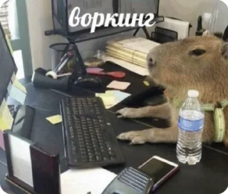💻 emoji Дизайнкор Telegram sticker 15 of 51