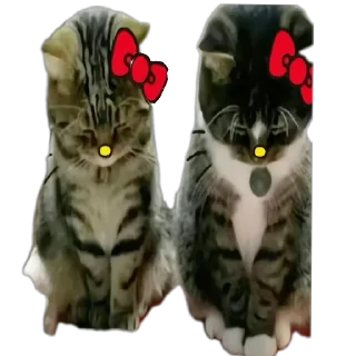 ❤ emoji говно Telegram sticker 5 of 118
