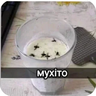 🫥 emoji УКРАЇНСЬКІ СТІКЕРИ ВІД ФІАЛКИ Telegram sticker 10 of 28