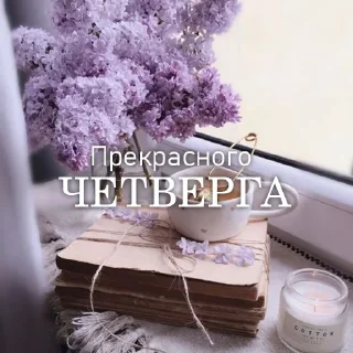 💜 emoji Дни Недели Telegram sticker 20 of 36