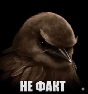 🌟 emoji птичке Telegram sticker 15 of 120
