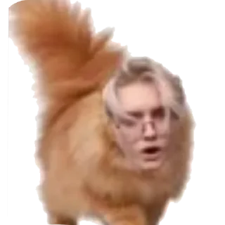 Sticker from У меня премка кончилась