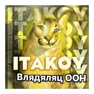 😰 emoji Жиза ООН 🇺🇳 Telegram sticker 1 of 26