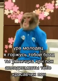 Sticker from Обезьяни 2 пак