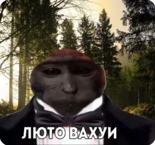 Sticker from ot alinoid i valleroid