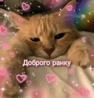 🌅 emoji хєхє Telegram sticker 24 of 77