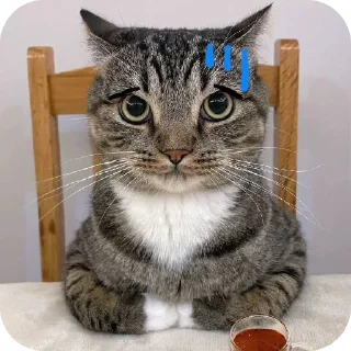 😓 emoji Хз Telegram sticker 23 of 70