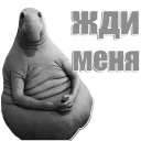 🌝 emoji Ждун Telegram sticker 14 of 42
