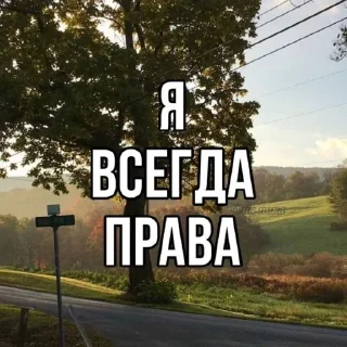Sticker from yep