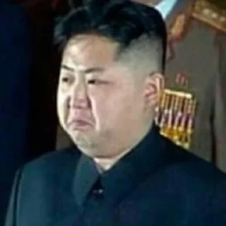 😪 emoji Ким чен ын❤️ Telegram sticker 13 of 16