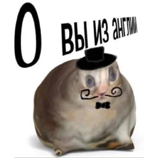 🥸 emoji пуси джуси на тусе Telegram sticker 11 of 51