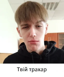 🥵 emoji їх боялися чеченці Telegram sticker 23 of 78