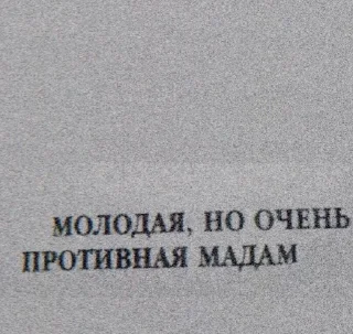 Sticker from Начальники