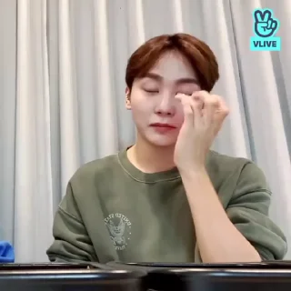 👽 emoji seungkwan @SSICTS Telegram sticker 22 of 40