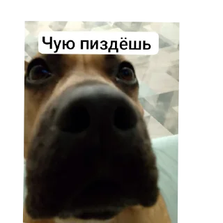 🖼 emoji Йоу Telegram sticker 14 of 23