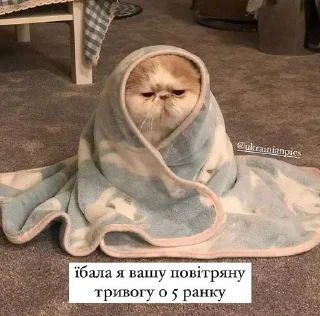 🥲 emoji ПікчіUA💙💛 Telegram sticker 15 of 41