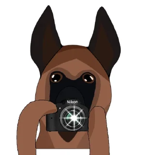 📸 emoji 💙Shani💛 Telegram sticker 9 of 14