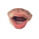 🐰 emoji Радужный Telegram sticker 7 of 30