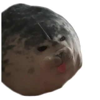 😛 emoji Тюлени @VolFRAM_WAREQ Telegram sticker 22 of 110