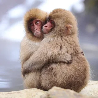 ❤️ emoji люб Telegram sticker 9 of 46